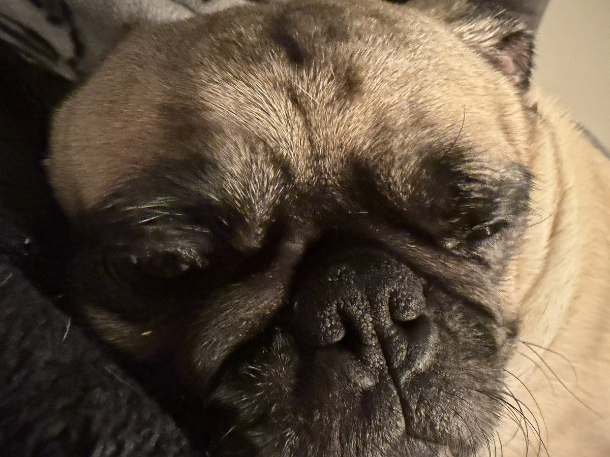 Fernando (@ferrnando_o) on Twitter photo 