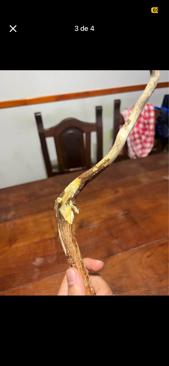 LPolacoo's tweet photo. Esto no puede ser jajajaj https://t.co/FVwNs6QjS1