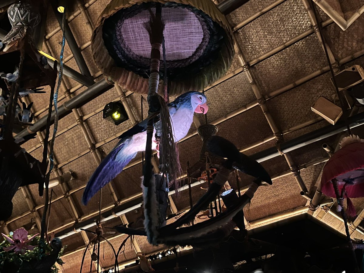 チキルームの忍足侑士みたいな鳥すき。