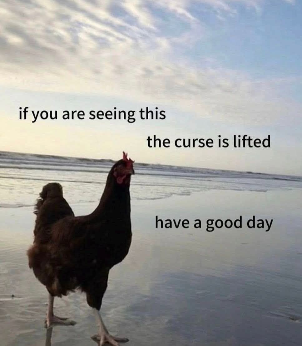 Tezmar99's tweet photo. We Rise https://t.co/CTgBkkVdW0 https://t.co/NPa5IE82Qb