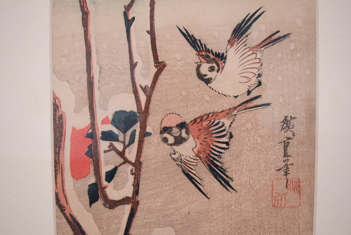 千葉市美術館 tweet media