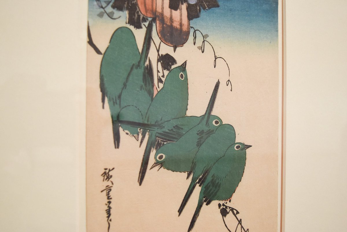 千葉市美術館 tweet media