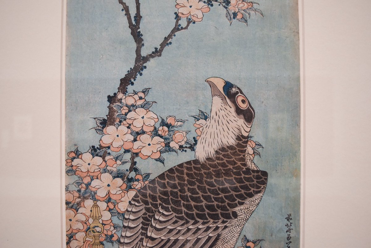 千葉市美術館 tweet media