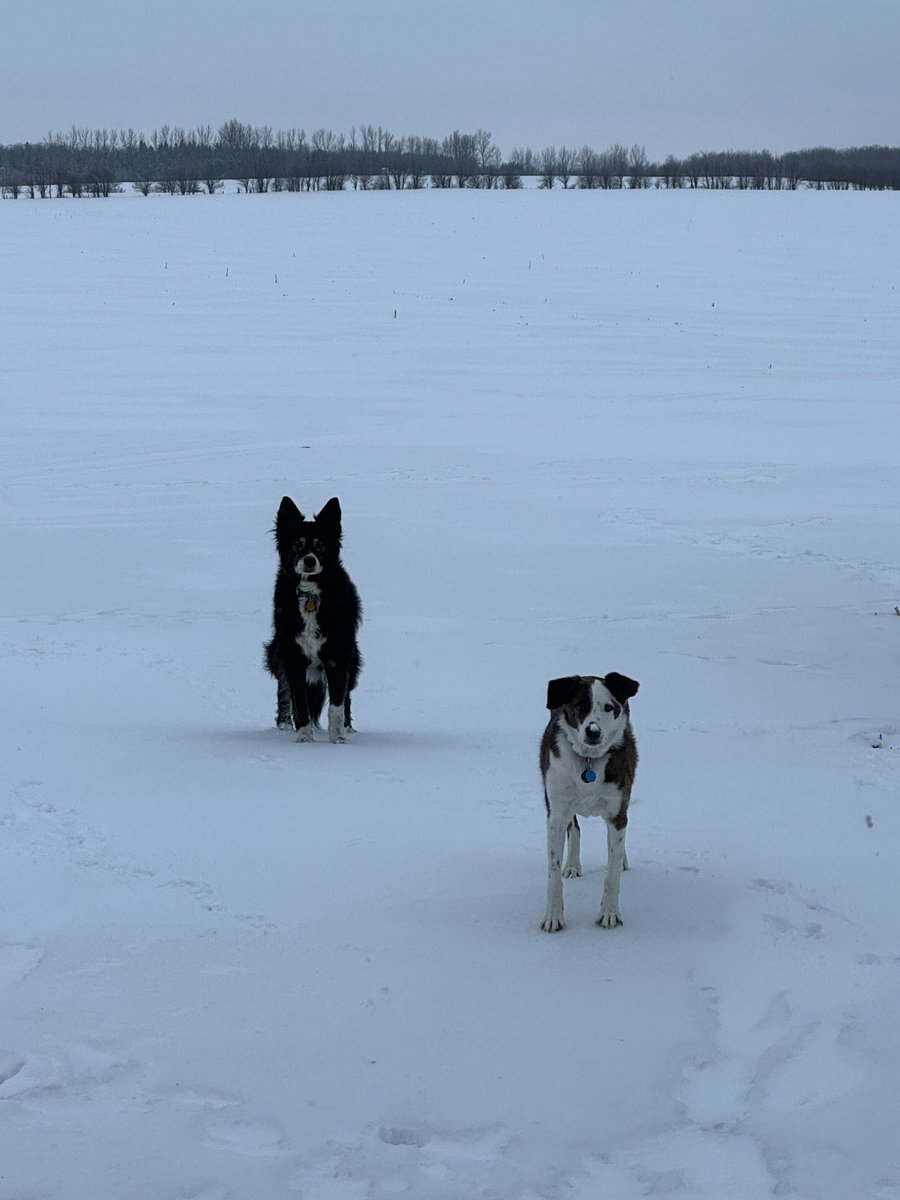 Steve McCabe tweet media