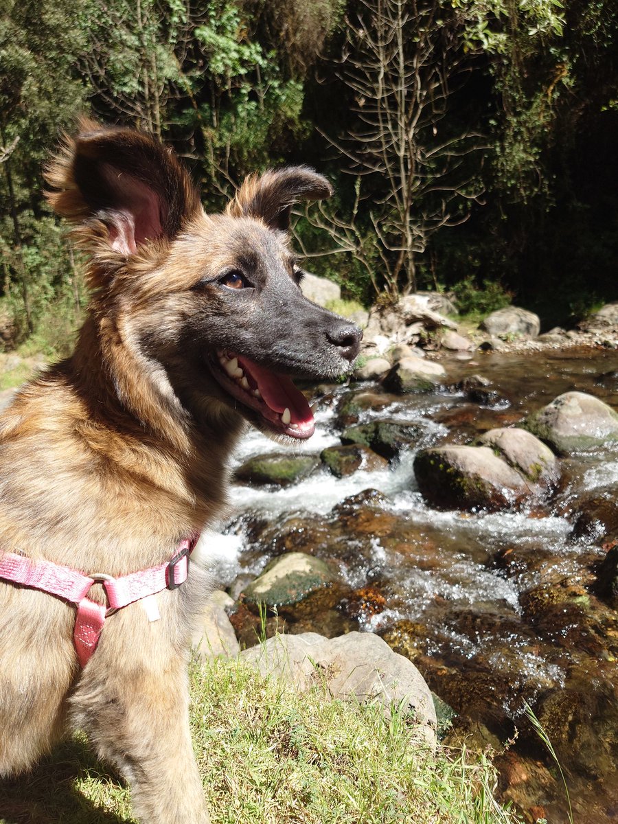 Samantha Gaytán tweet media