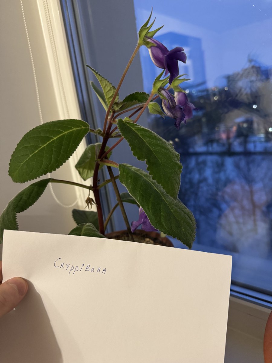 Dr. Livesey tweet media