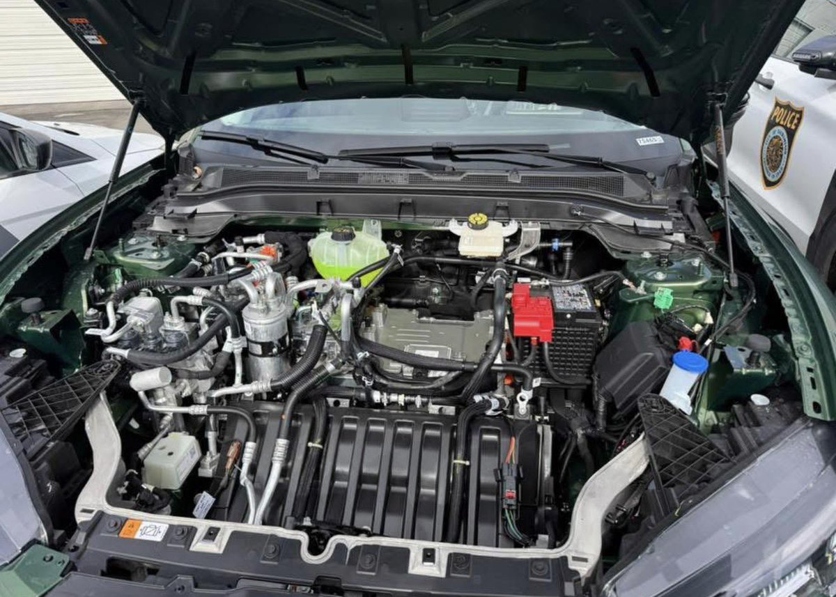 Nic Cruz Patane tweet media