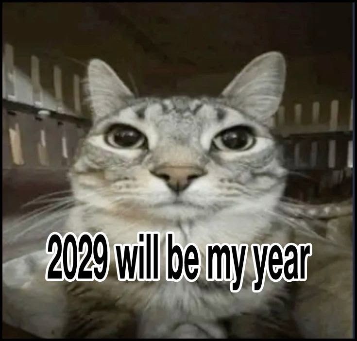 TweetsOfCats's tweet photo. https://t.co/Gpp7m3XZRz