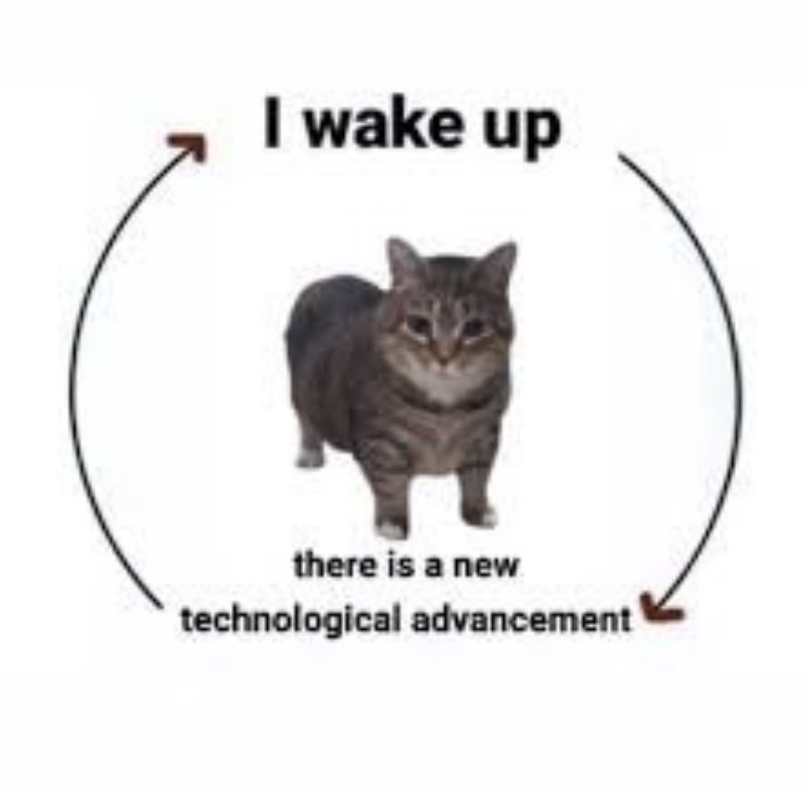 Devanshu tweet media