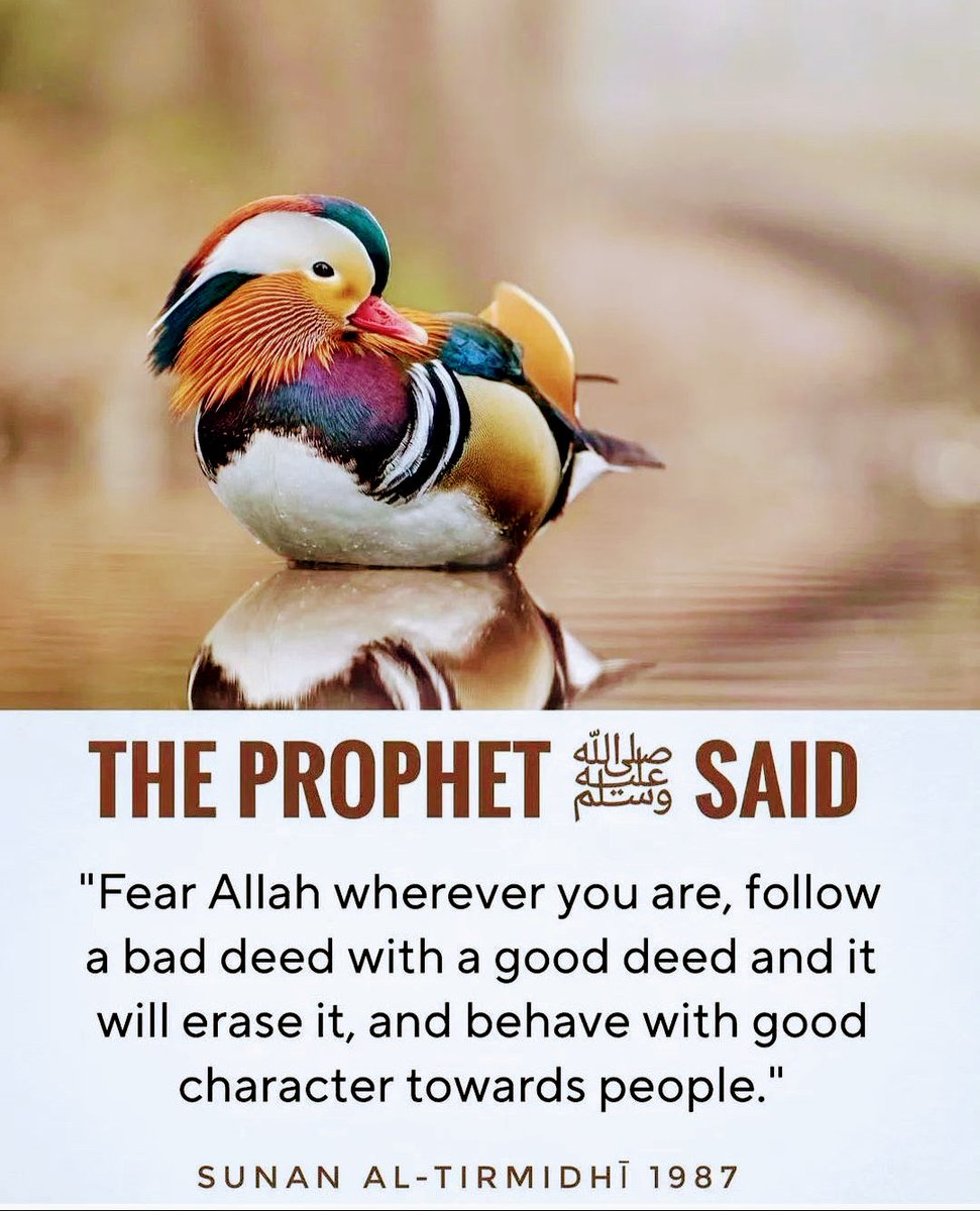 HassanJada_'s tweet image. The Prophet #Muhammad SAW Said: