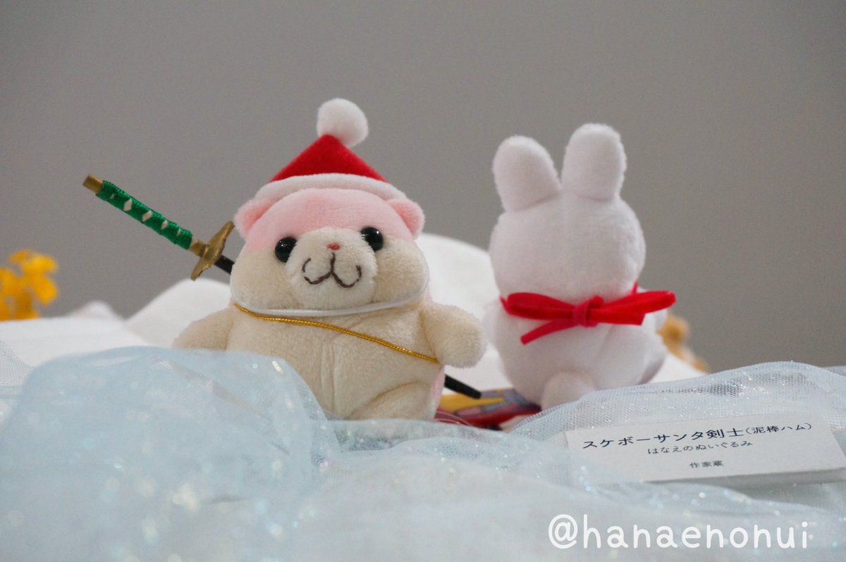 スケボーサンタ剣士ってなに？🎅 サンタの魂ってなに？🎅 #はなえの