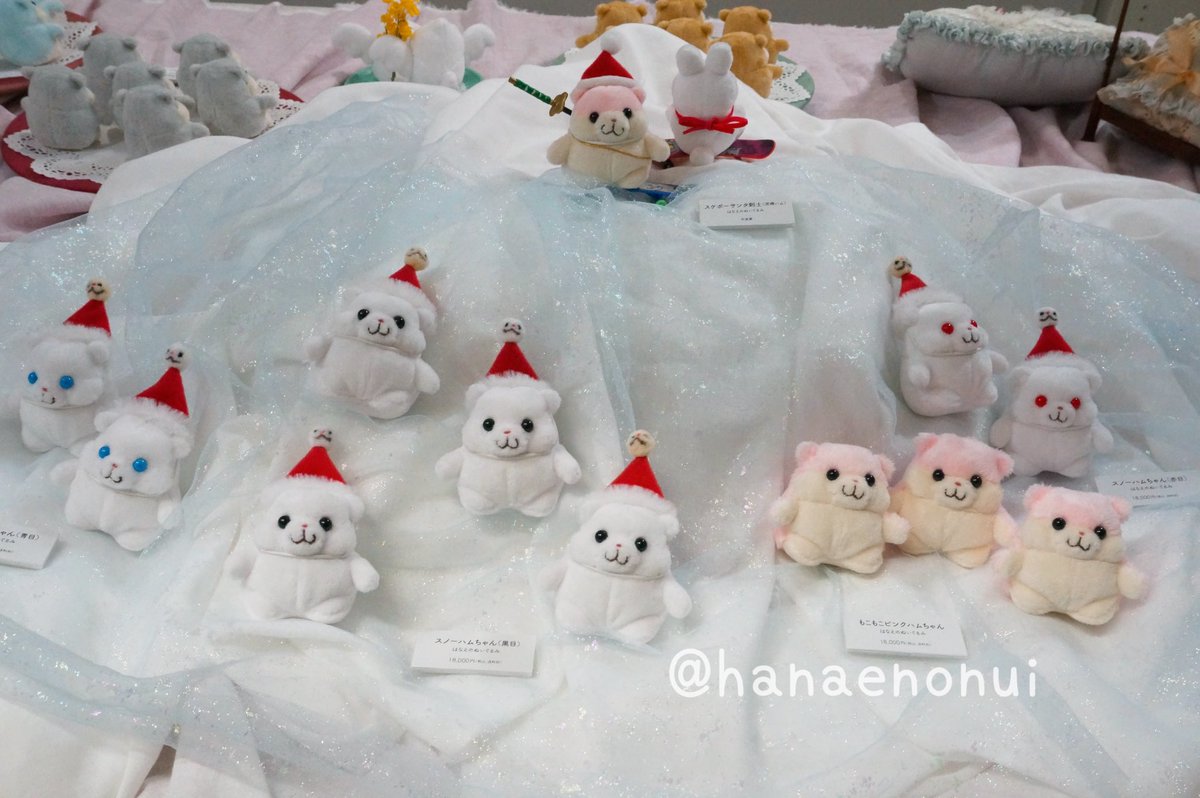 スケボーサンタ剣士ってなに？🎅 サンタの魂ってなに？🎅 #はなえの