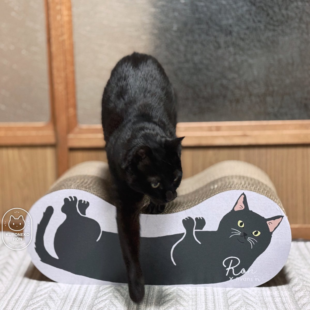 AKR (@bou128) / Posts / X