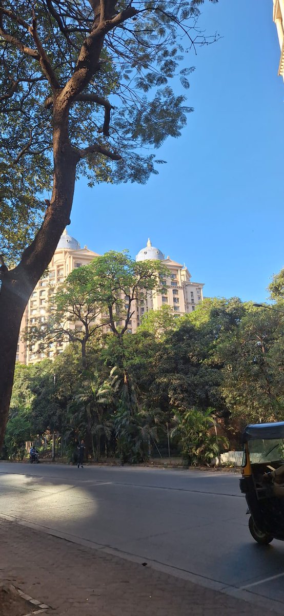 Mumbai Rains tweet media