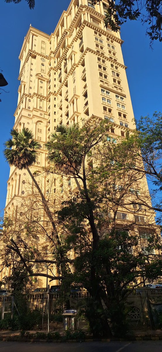 Mumbai Rains tweet media