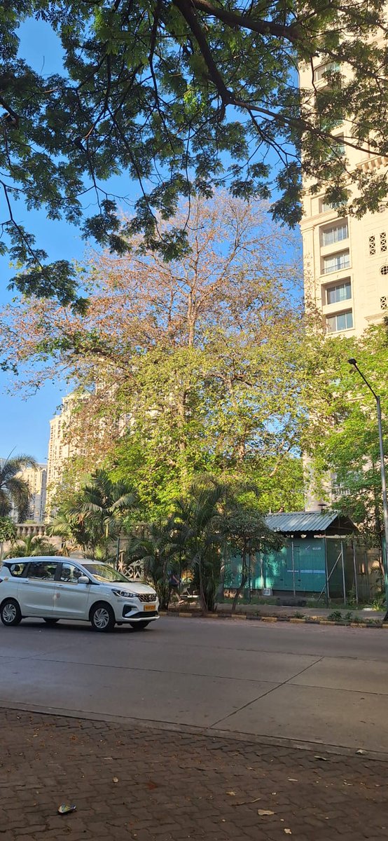 Mumbai Rains tweet media