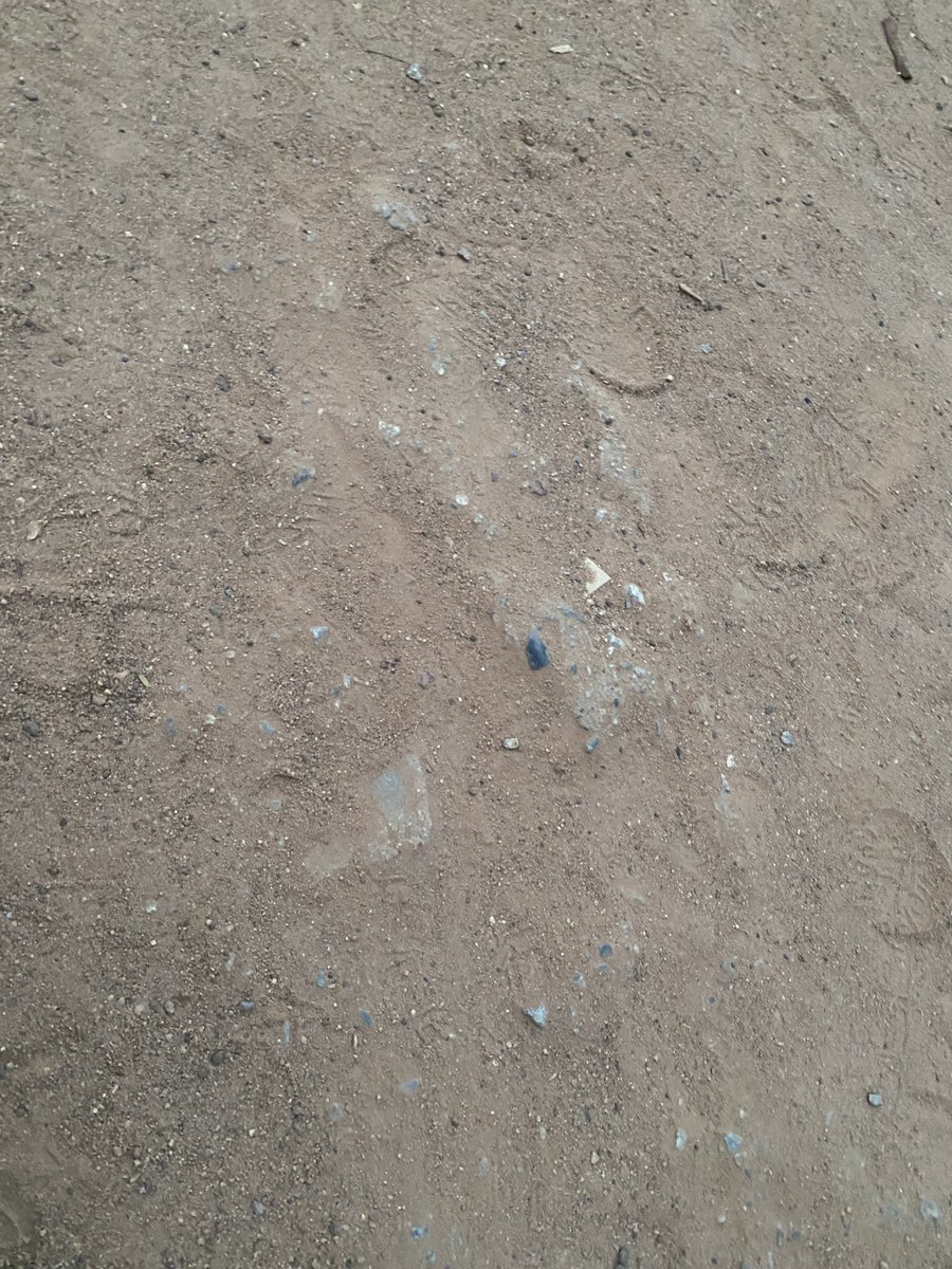 Gaushith tweet media