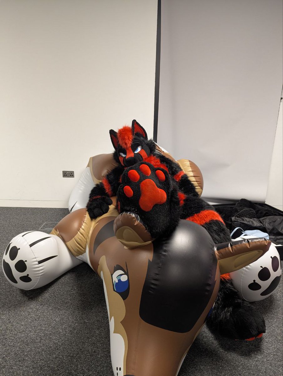 Rinz / Prisma 🔜 Confuzzled 2026 tweet media