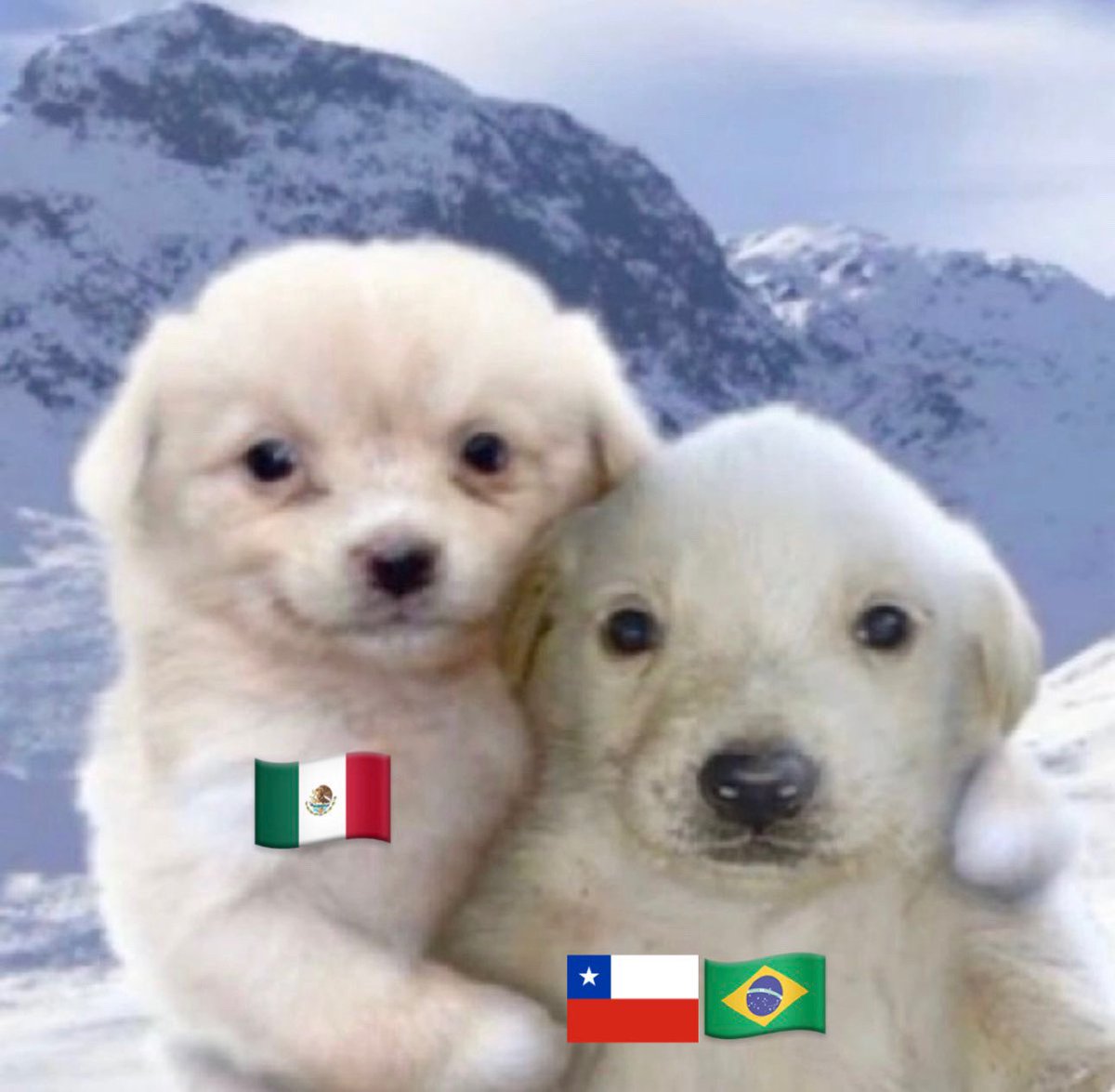 Cada vez que entro a esta red social hay un tuit de brasileños, mexicanos y chilenos amándose.