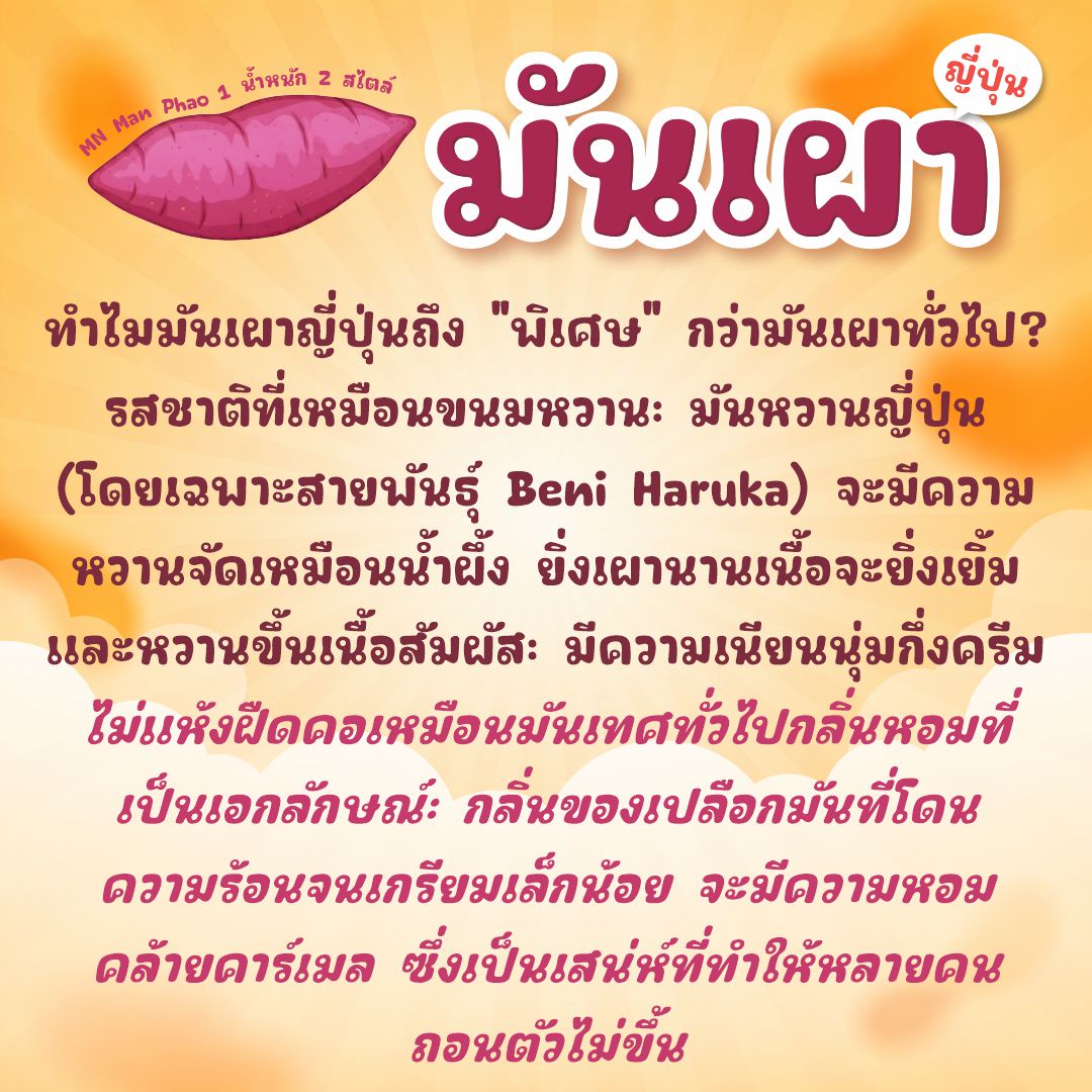 maneemeefont's tweet photo. 🔥 ฟอนต์ "มันเผา" (MN Man Pao) มาแล้ว! 🍠✨
​⏰ โปรเปิดเตา 3 วันเท่านั้น!
• บุคคล: 89.- (ปกติ 150.-)
• นิติบุคคล: เริ่มต้น 399.- (ปกติ 500.-)
​📅 วันนี้ - 28 ก.พ. 69 เท่านั้น!
🛒 สนใจทักแชทหามานีเลยจ้า!
​#ฟอนต์มันเผา #มานีมีฟอนต์ #MNManPao https://t.co/Vxb0MeEKea