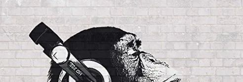 Why don't we have the same taste in music ?