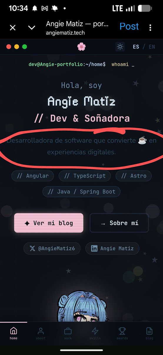 AlxCoder tweet media