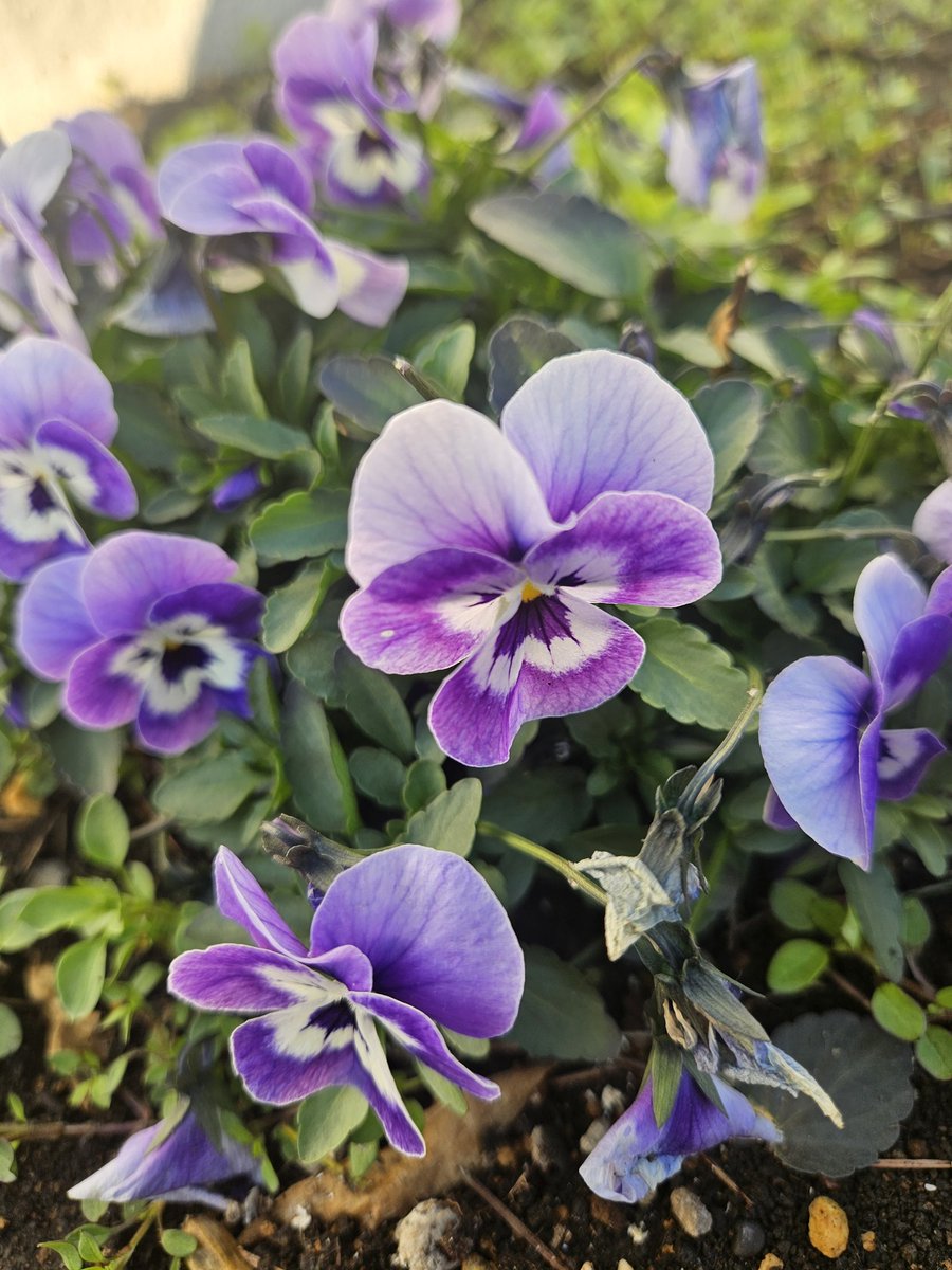 阿部博明 tweet media