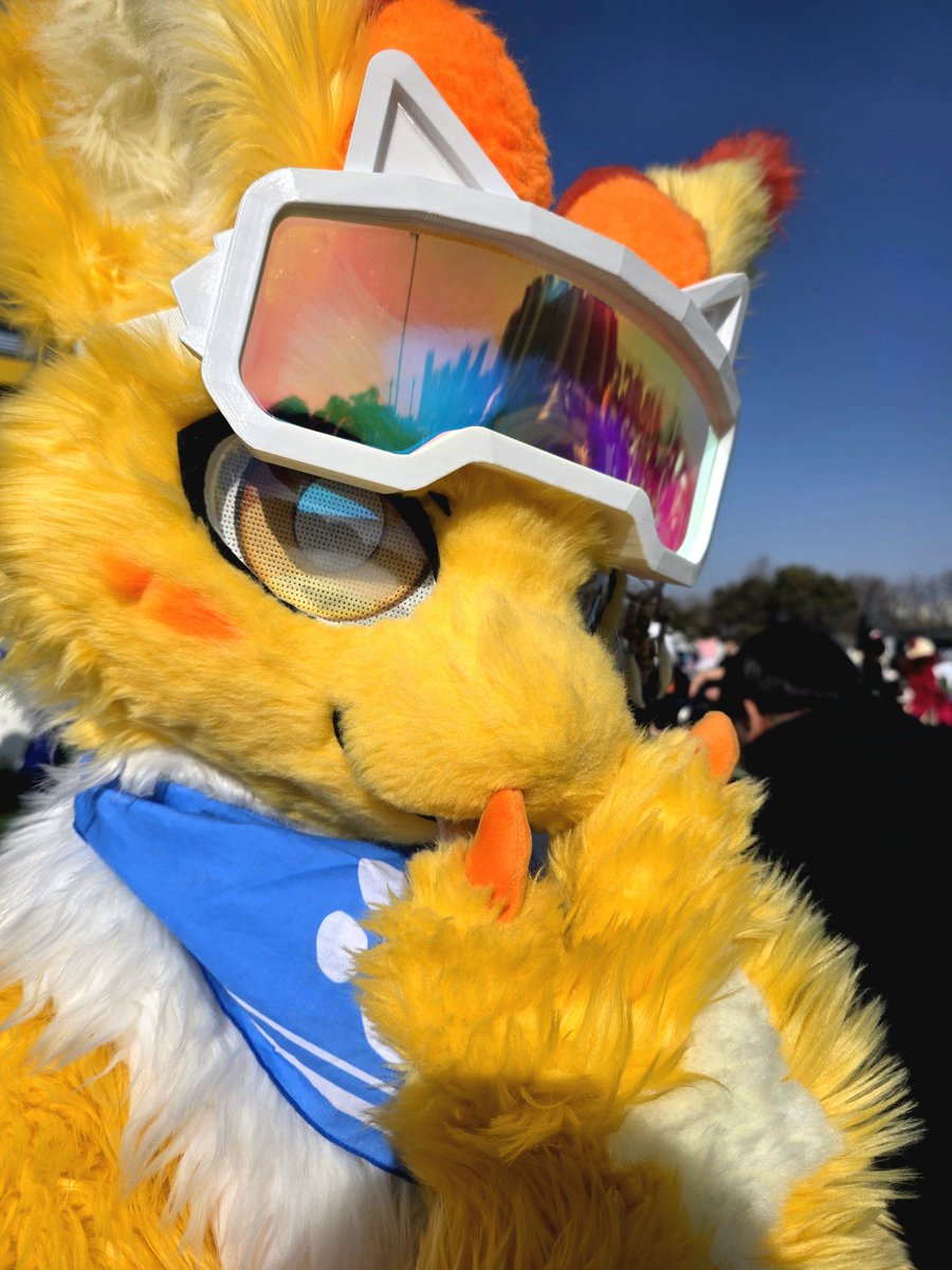 개르개르 | 오트(Oat) 🔜 Furst Class tweet media