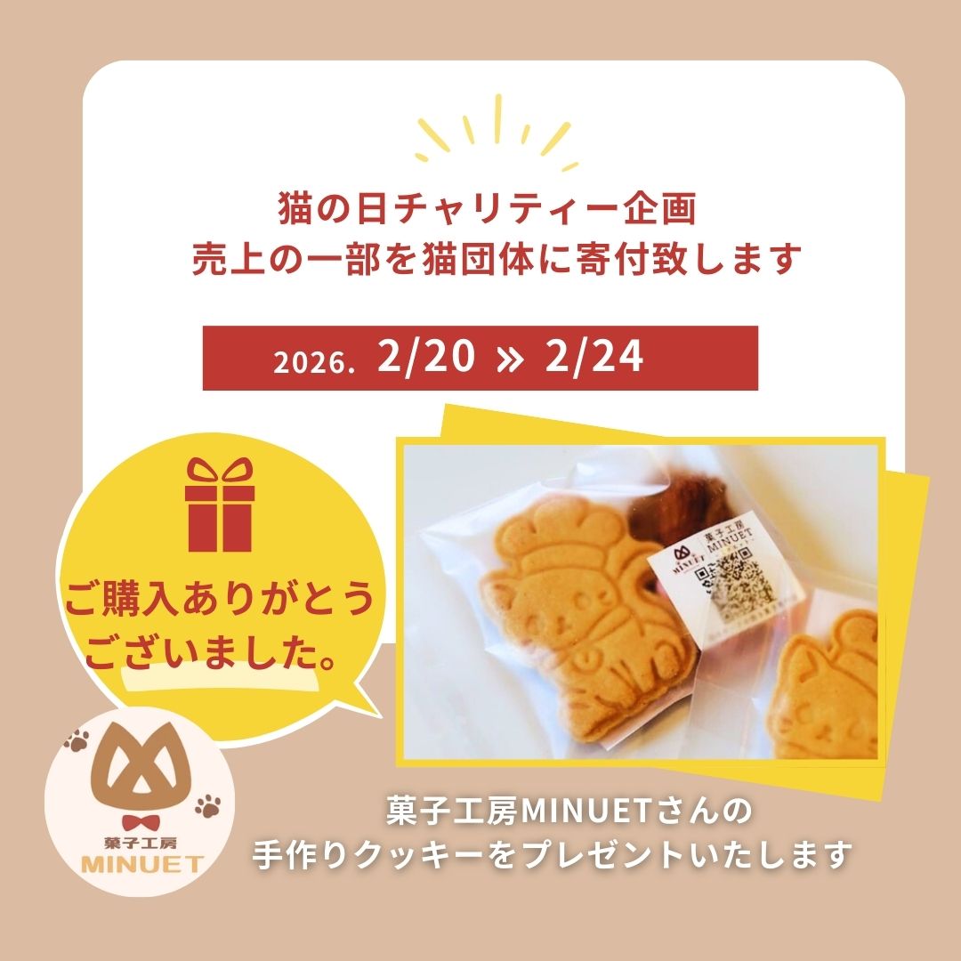 すぎはらゆり (@yuriisneko) / Posts / X