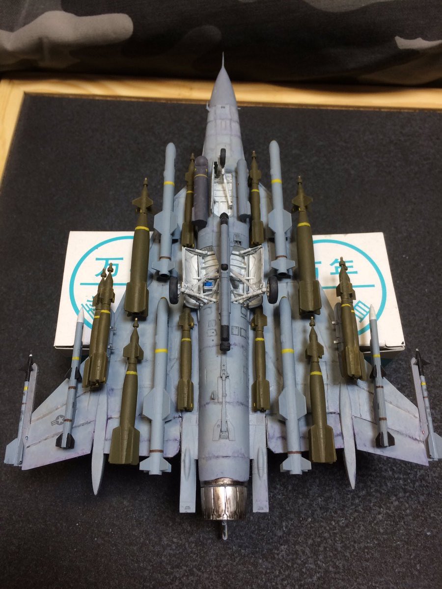 #飛行機の吊るしものだけで100イイネ目指す

考証とか常識とか羞恥心とか捨ててしまえばいっぱい吊るせるよ