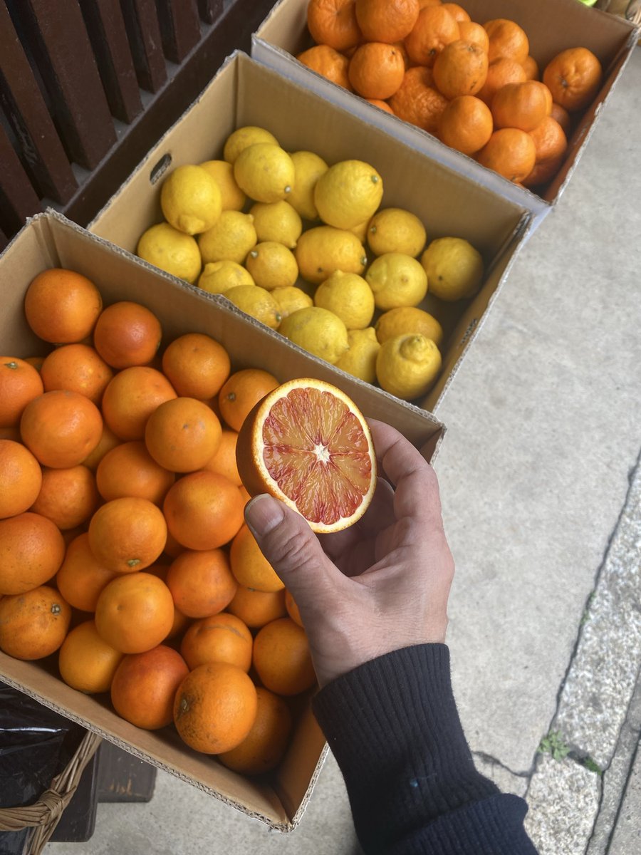 無茶々園のブラッドオレンジ、ものすごくいい香りです！今季初。100g