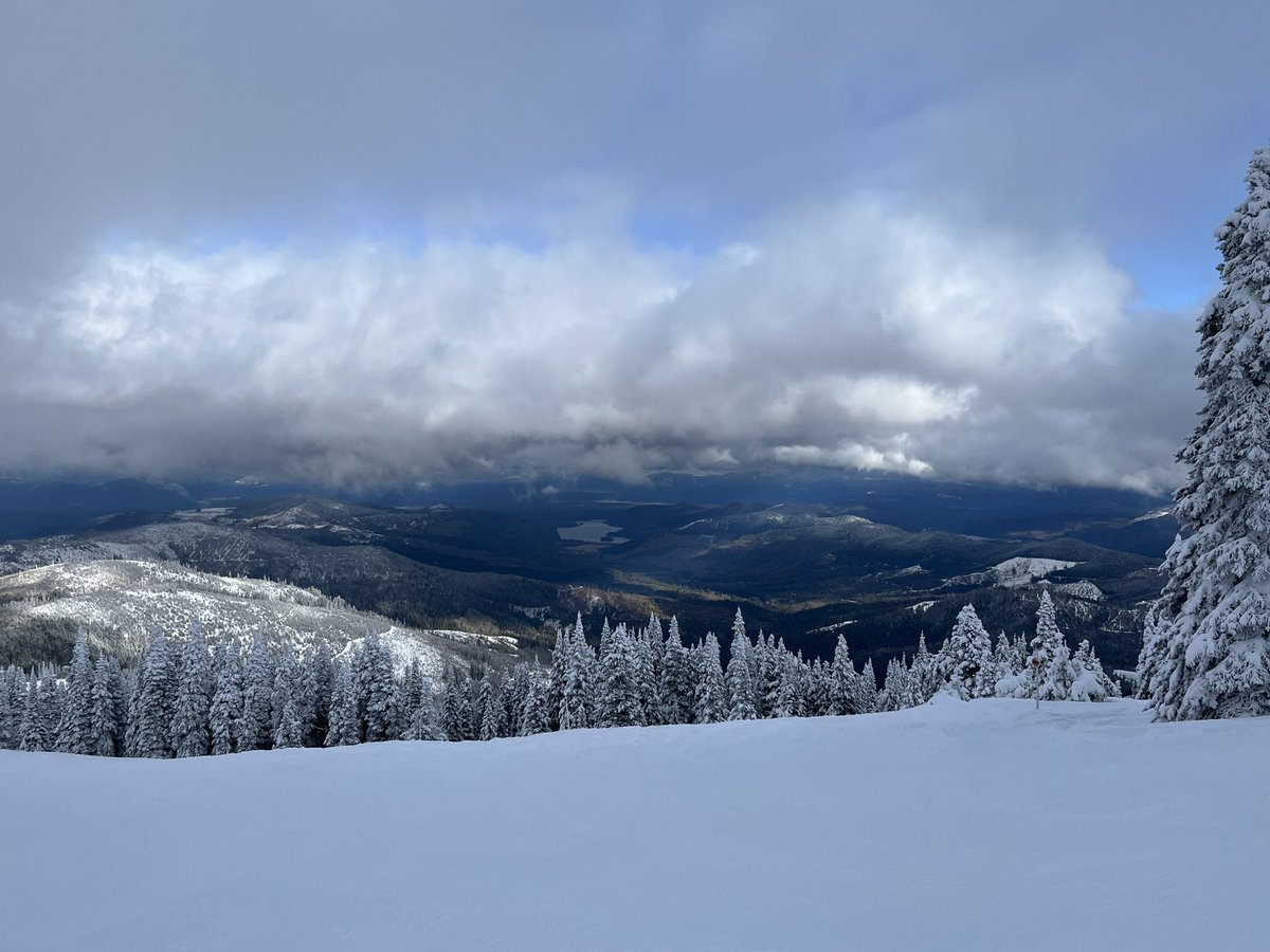 Don Pawluk tweet media