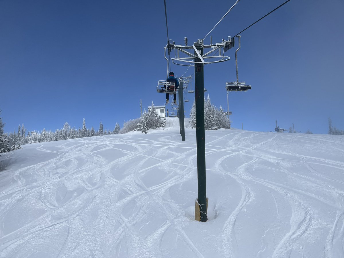 Don Pawluk tweet media