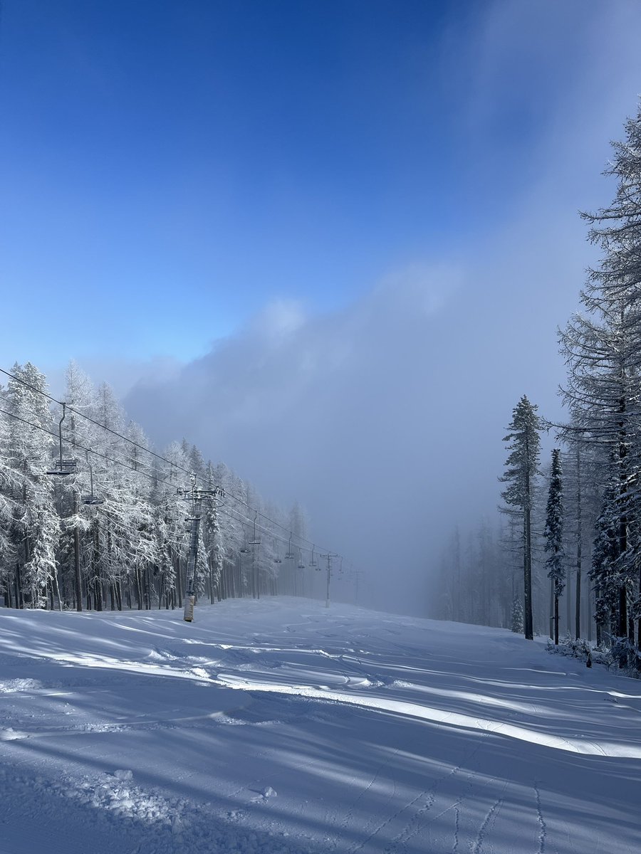 Don Pawluk tweet media