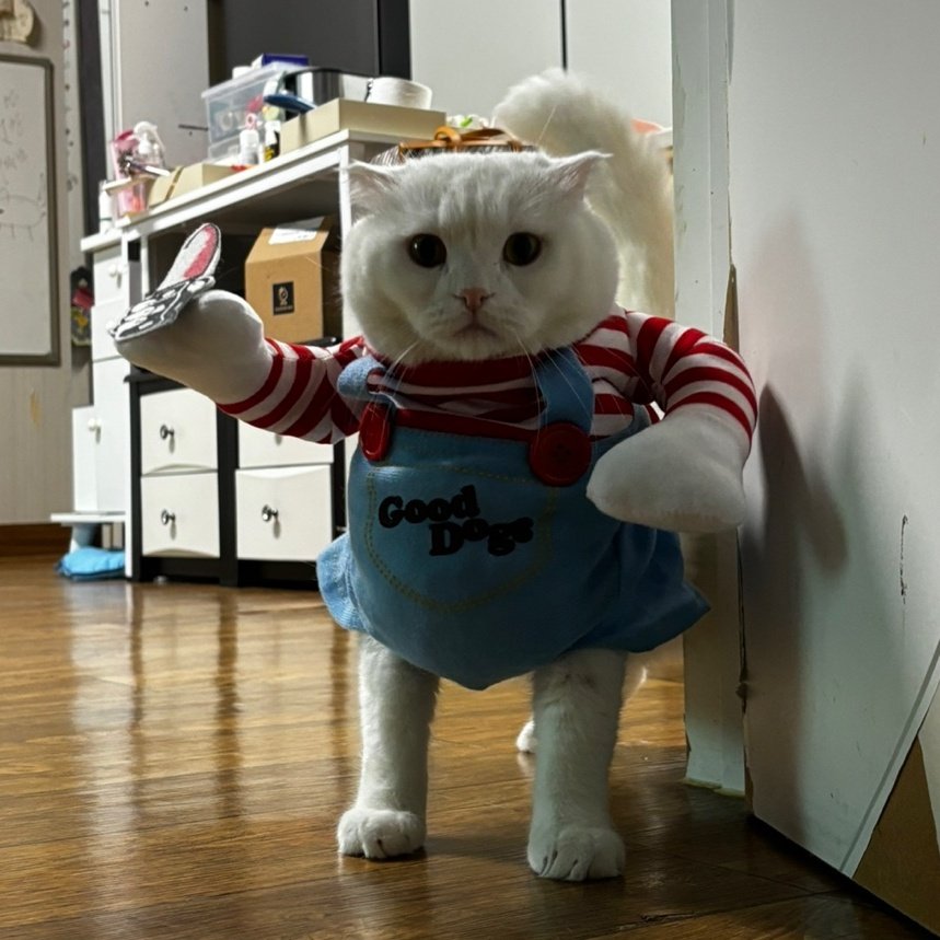 Givename tweet media