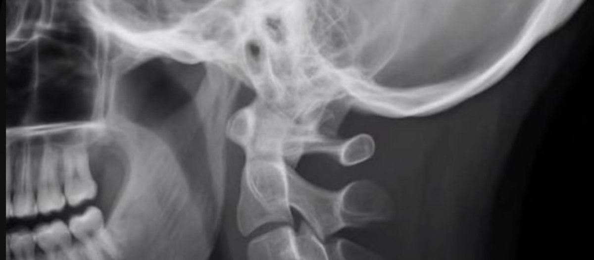 ليان tweet media