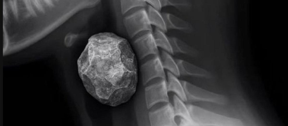 ليان tweet media