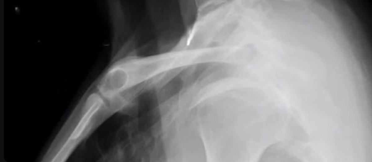 ليان tweet media