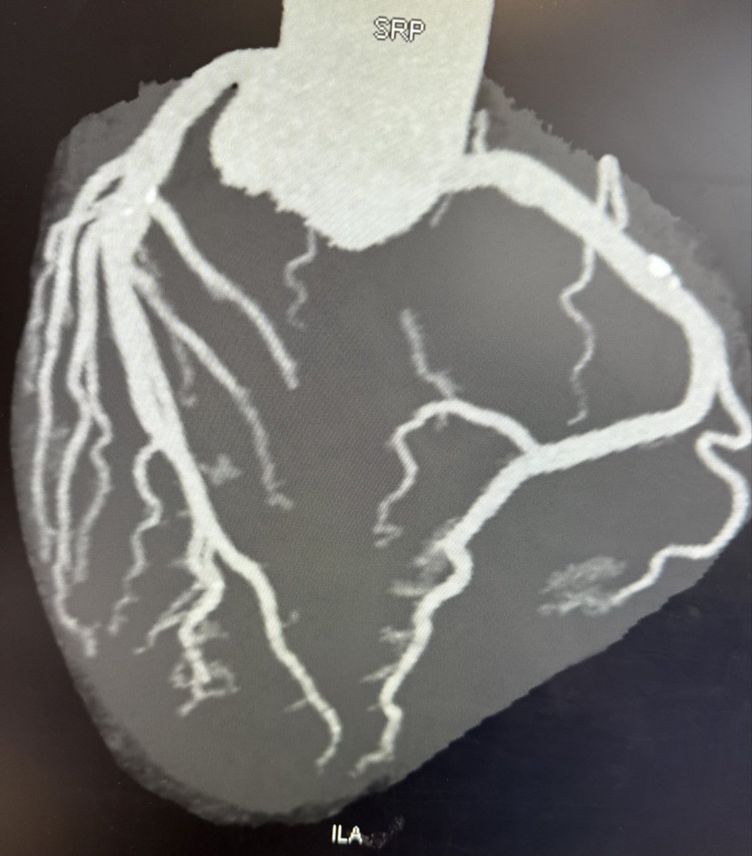 frank arko tweet media