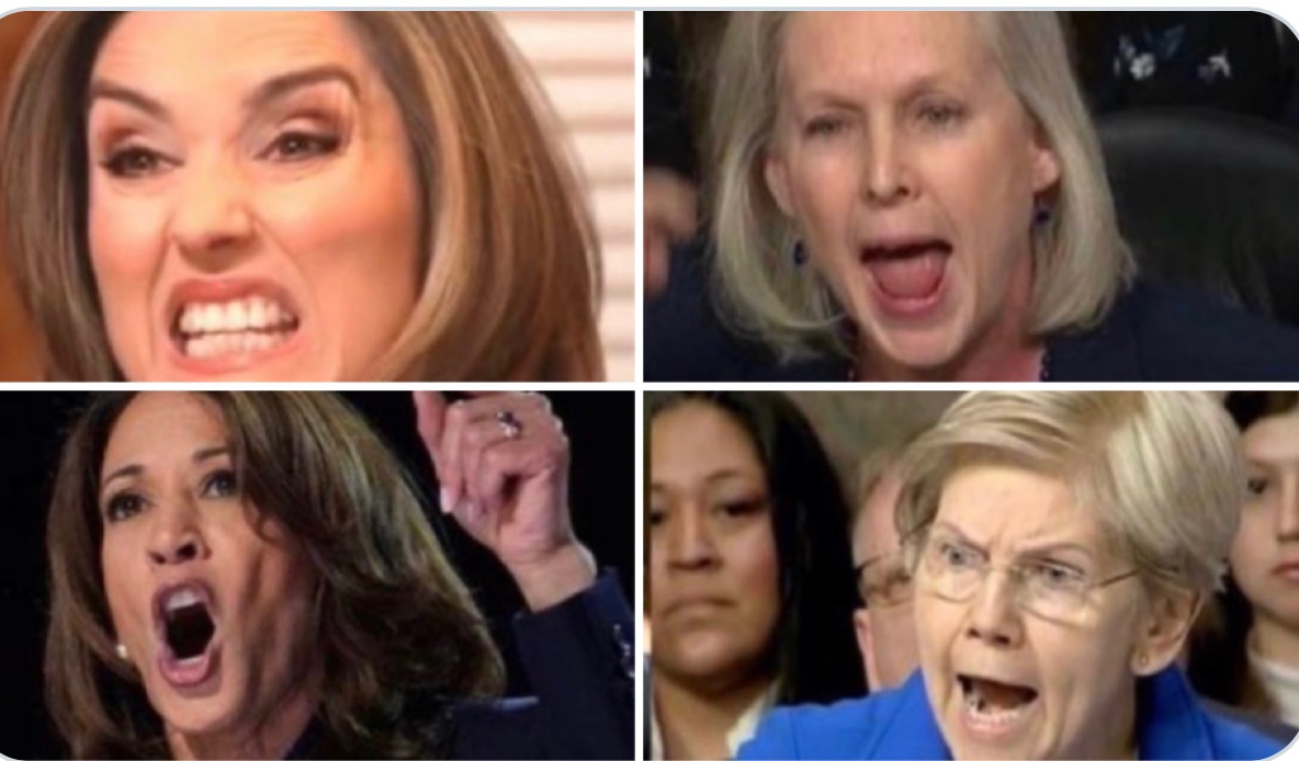 hellen troy tweet media