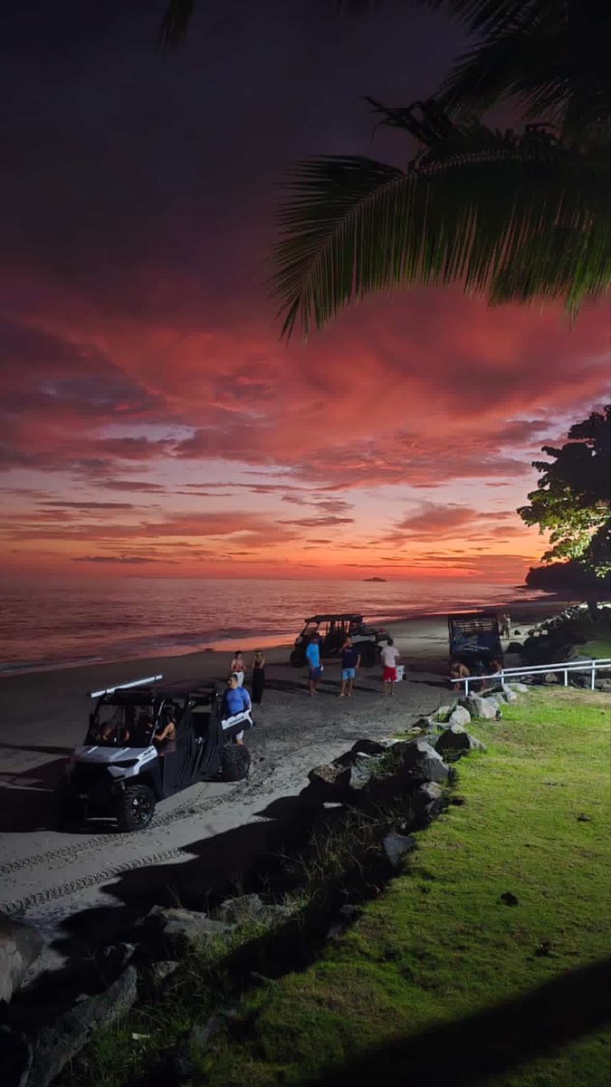 Alexander Carrillo tweet media