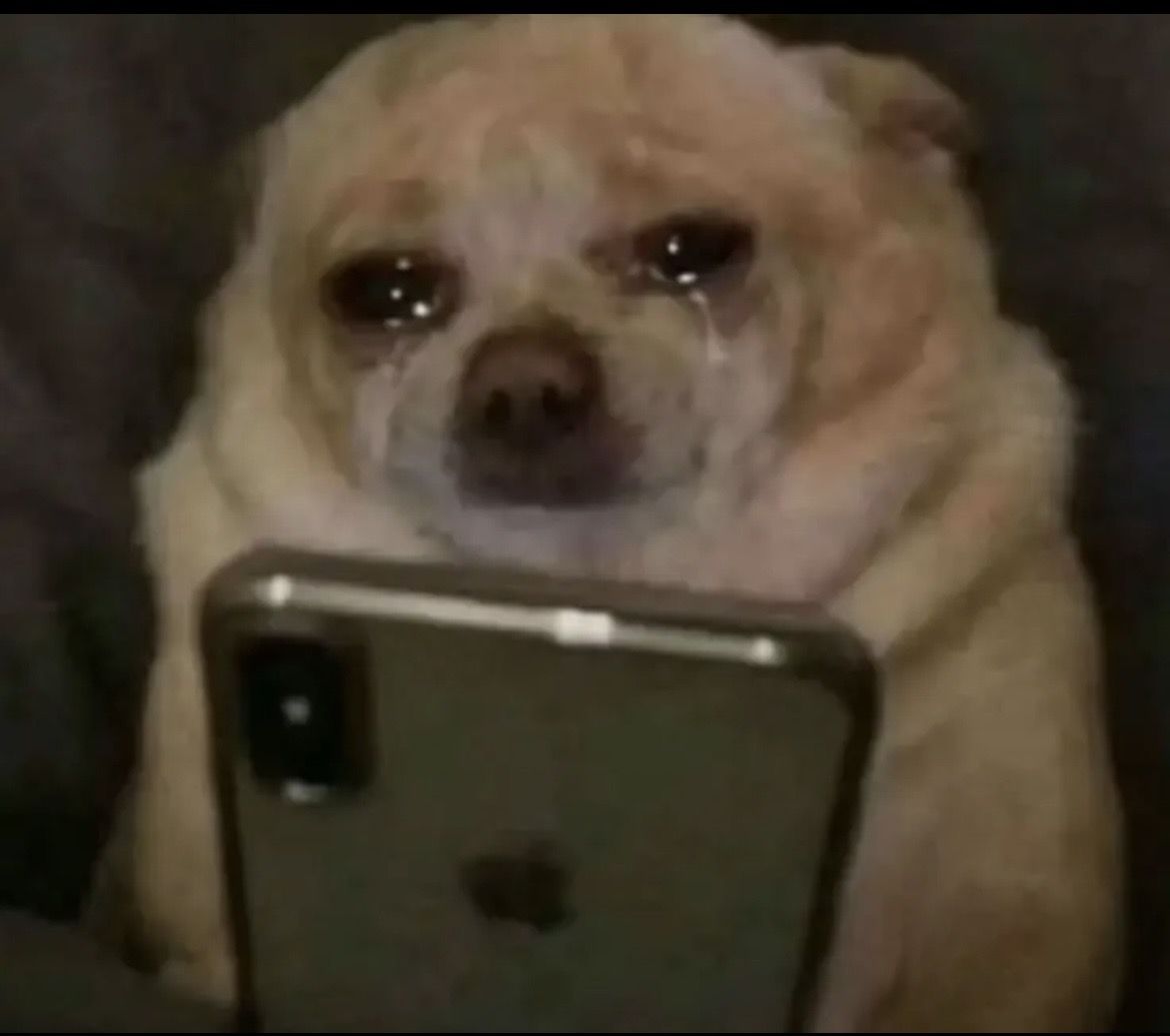 forpoolboi's tweet photo. No way smiling friends is over https://t.co/akHfvbWG40