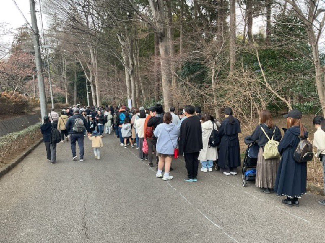 Complex's tweet photo. According to reports, Ichikawa City Zoo reportedly in Japan saw more than 11,000 visitors over two days after Punch-kun, a baby Japanese macaque, went viral online. 

On February 22, over 6,000 people visited, and about 5,200 came the next day. Lines stretched up to two hours, parking filled early, and staff had to limit entry to manage the large crowds. The zoo said Punch is doing well and continues to adjust to life with the other monkeys.

(📸: @ichikawa_zoo )