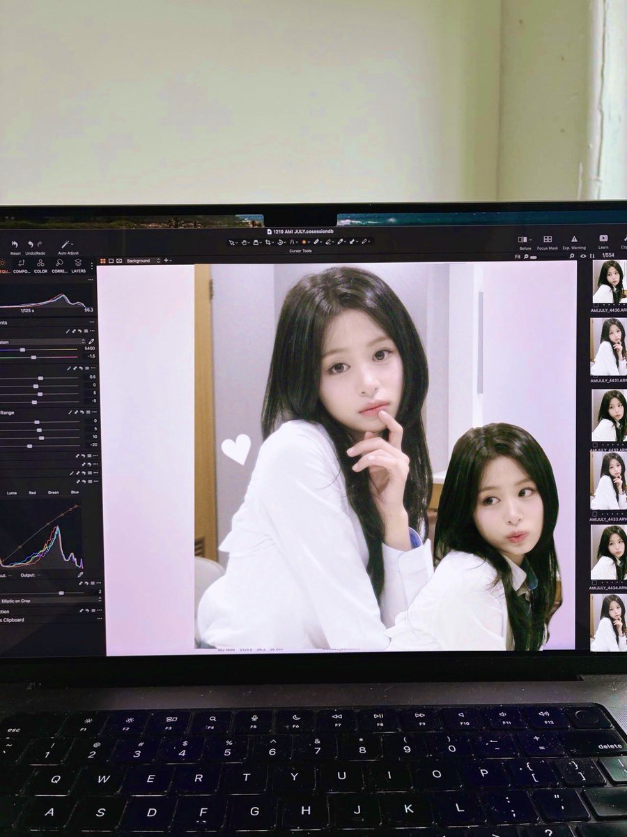 ℛochelia. tweet media