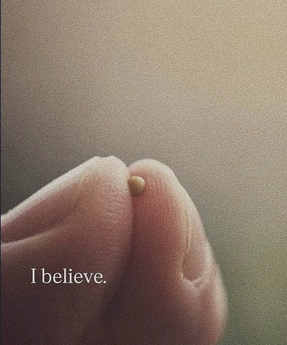 Juddytime's tweet photo. Just like this tiny seed, your dreams may seem small today, but with patience and faith, they can grow beyond your imagination. Begin this morning with believe. ☀️ https://t.co/Ic7dSGbcHb