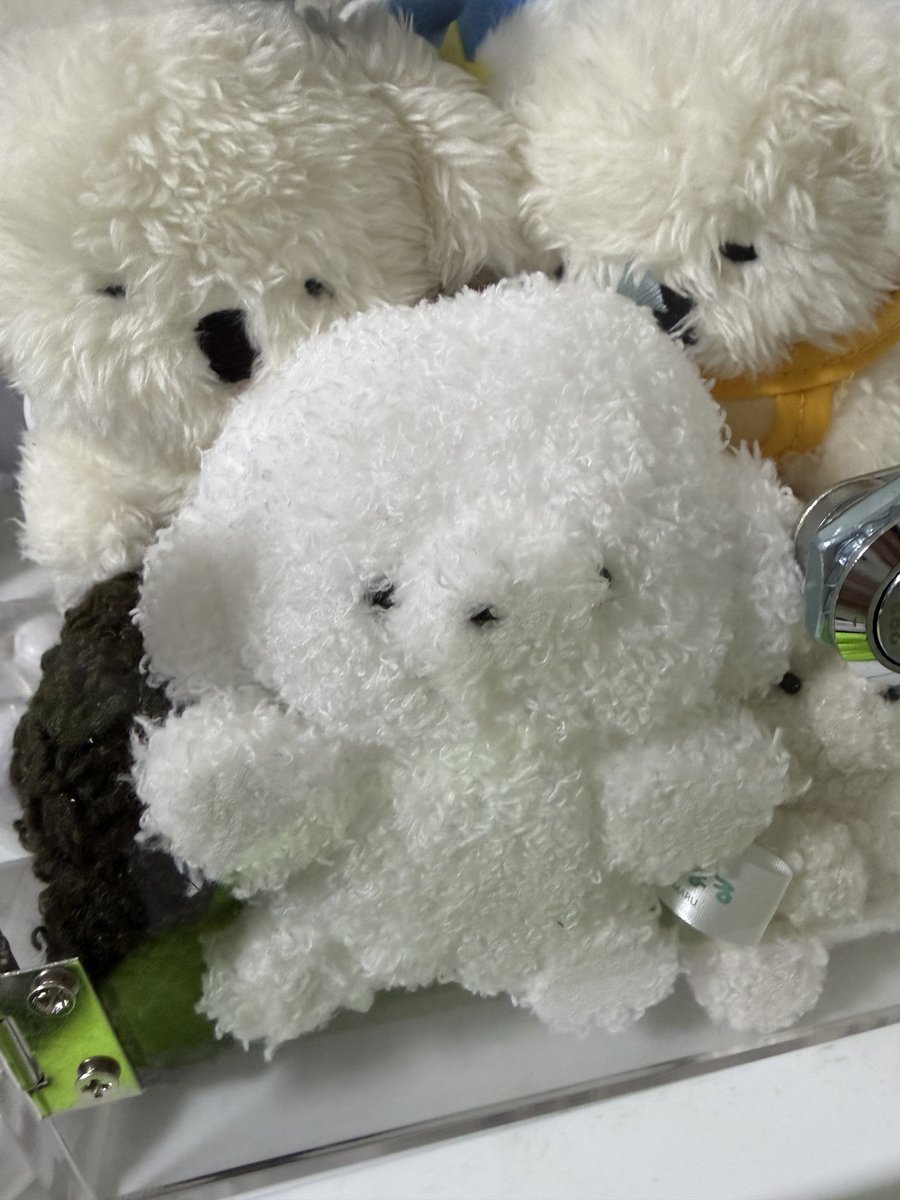 🧸‎かなた🧸【広島県産歌舞伎町ホスト→内勤】 tweet media