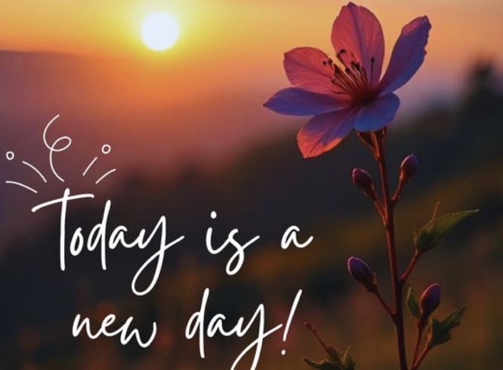 May the light within you always outshine the shadows that try to dim your path.

Happy Thursday ❤️

Are you ready to conquer the day?