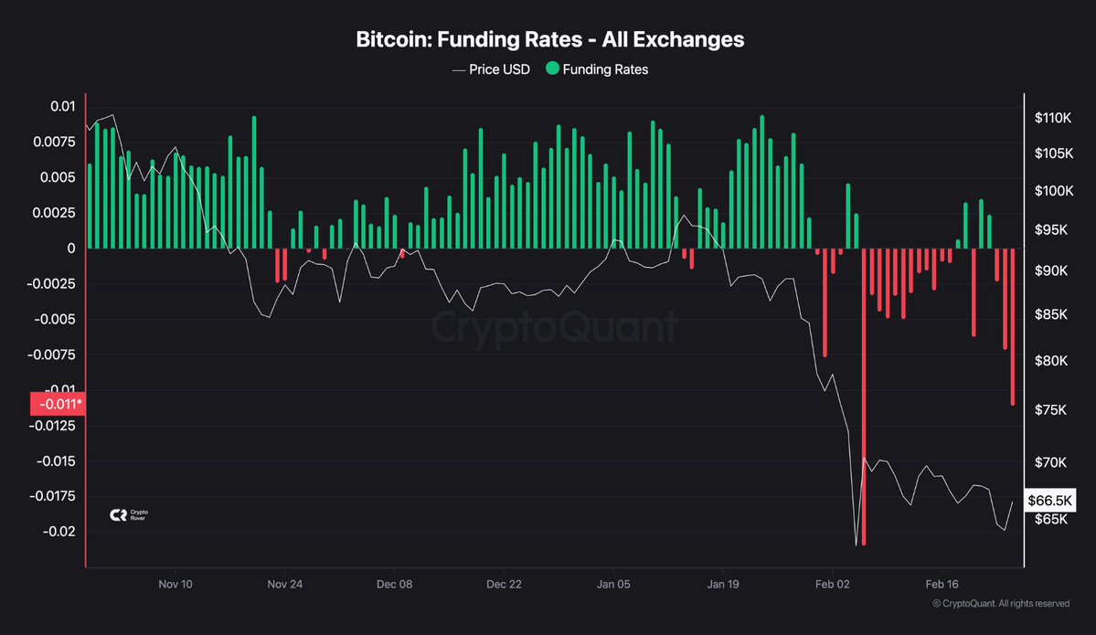 Crypto Rover tweet media