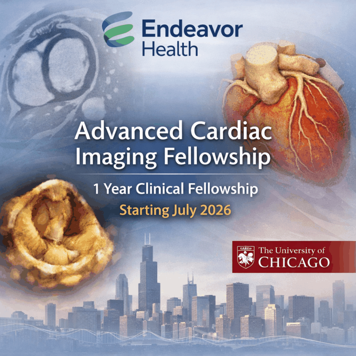 AmitPursnaniMD tweet media