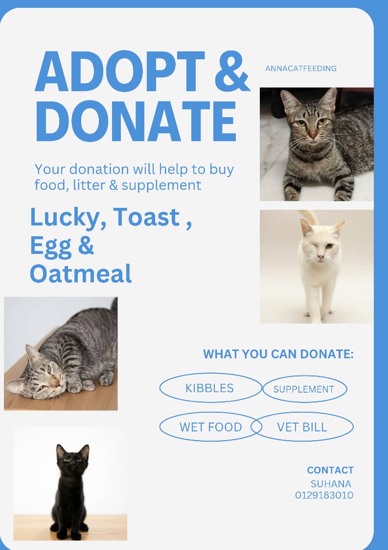 Suhana Othman tweet media